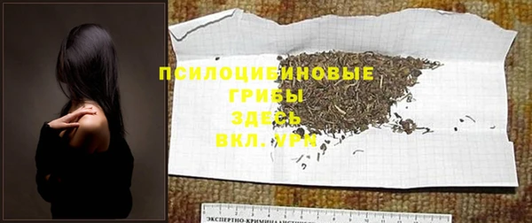 индика Осташков