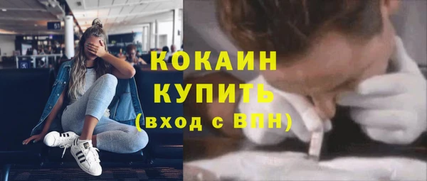 индика Осташков