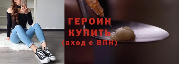 индика Осташков