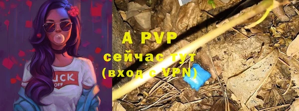 индика Осташков