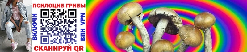 Псилоцибиновые грибы GOLDEN TEACHER  наркота  мега зеркало  Ханты-Мансийск 